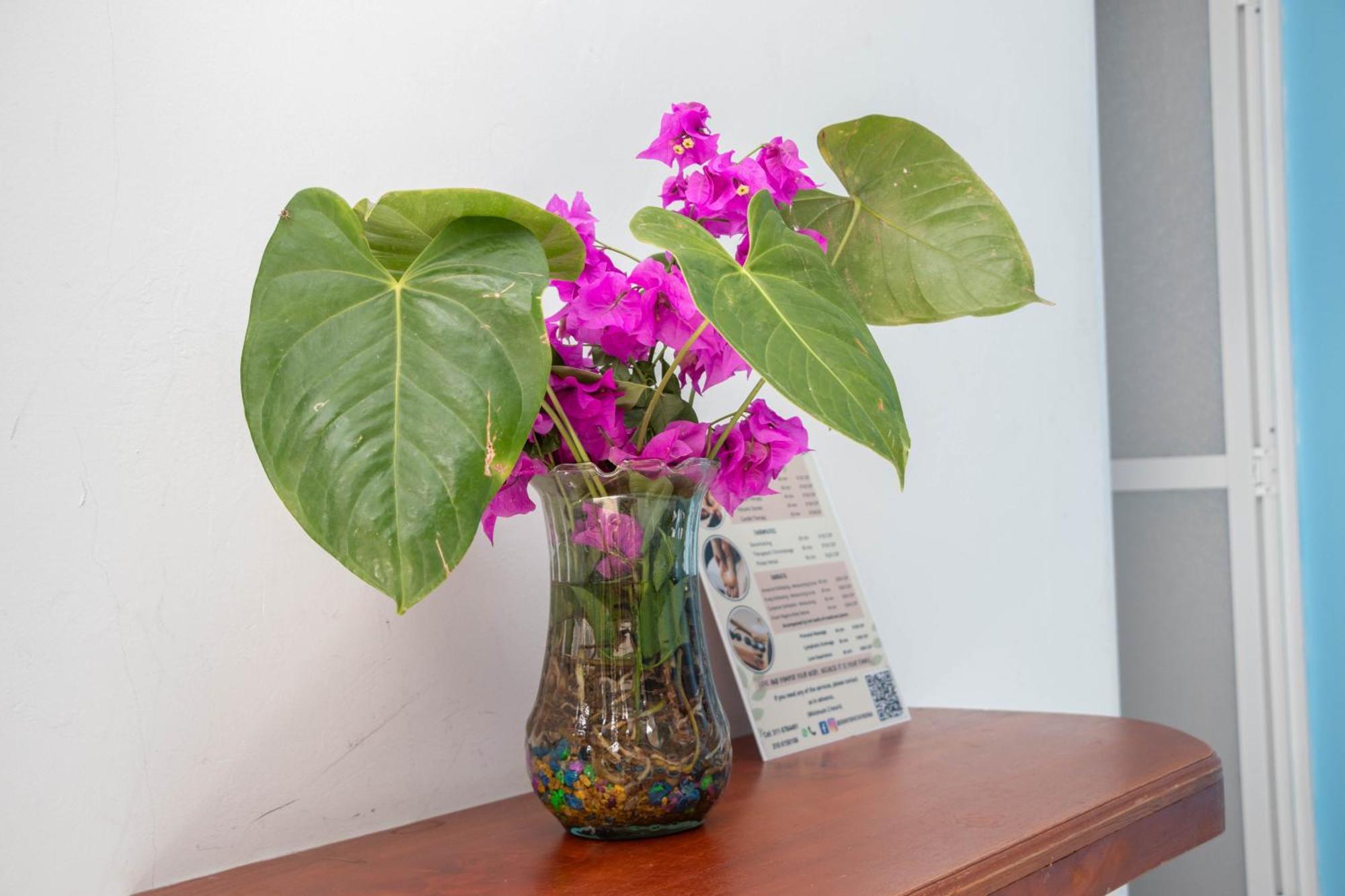 Hotel Manakin Tayrona El Zaino Εξωτερικό φωτογραφία